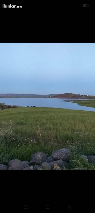 Kilis Merkez Uzunlu Köyü Mahallesi 12.500 m² satılık arazi arsa - Fotoğraf 1