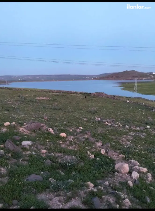 Kilis Merkez Uzunlu Köyü Mahallesi 12.500 m² satılık arazi arsa - Fotoğraf 3