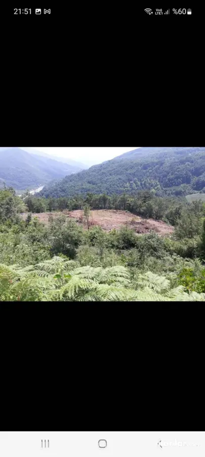 Kastamonu Çatalzeytin Çelebiler Mahallesi 8.772 m² satılık tarla arsa - Fotoğraf 2