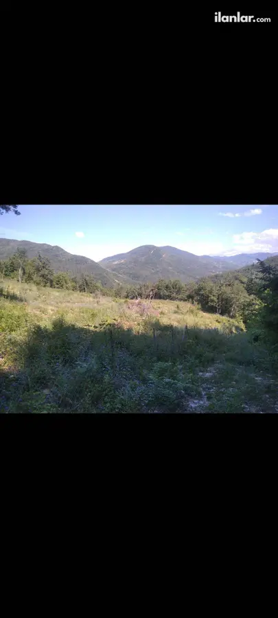 Kastamonu Çatalzeytin Çelebiler Mahallesi 8.772 m² satılık tarla arsa - Fotoğraf 3
