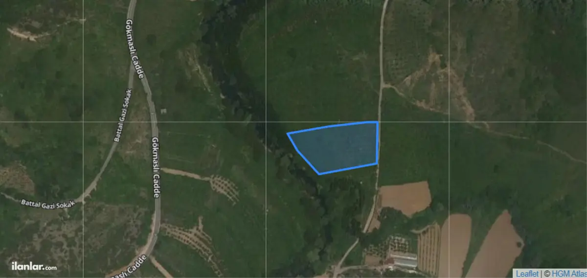 İstanbul Şile Soğullu Mahallesi 5.346 m² satılık tarla arsa - Fotoğraf 2