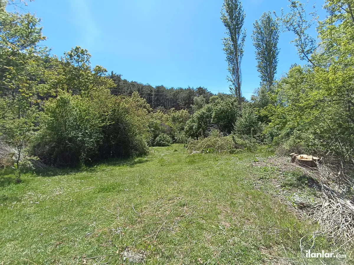 Kütahya Domaniç Çukurca, Küçükler Mahallesi 278 m² satılık bağ & Bahçe arsa - Fotoğraf 2