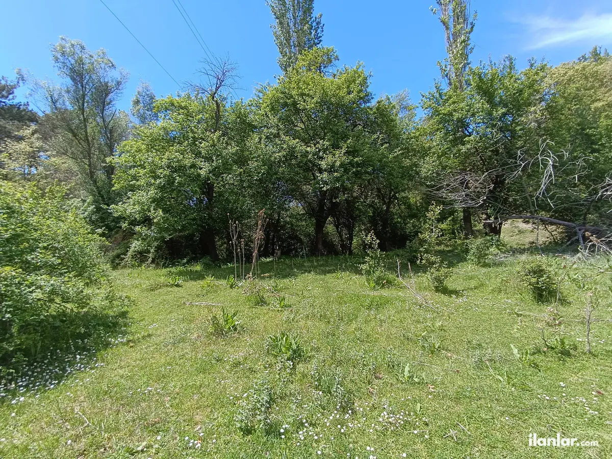 Kütahya Domaniç Çukurca, Küçükler Mahallesi 278 m² satılık bağ & Bahçe arsa - Fotoğraf 3