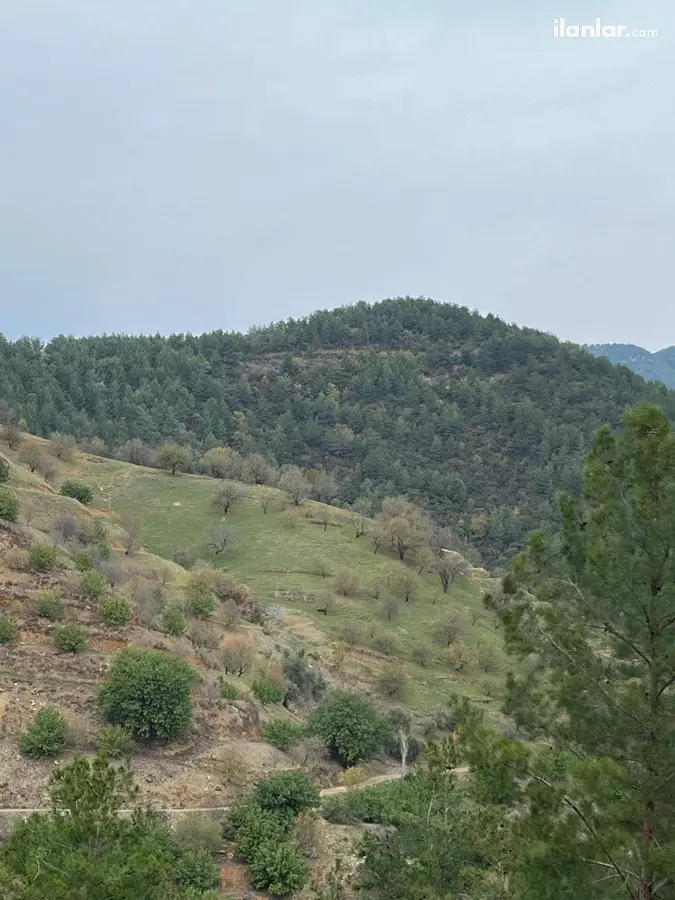 Antalya Gazipaşa İnal Mahallesi 15.500 m² satılık bağ & Bahçe arsa - Fotoğraf 2