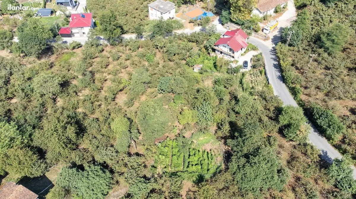 Trabzon Arsin Gölcük Mahallesi 1.483 m² satılık bağ & Bahçe arsa - Fotoğraf 3