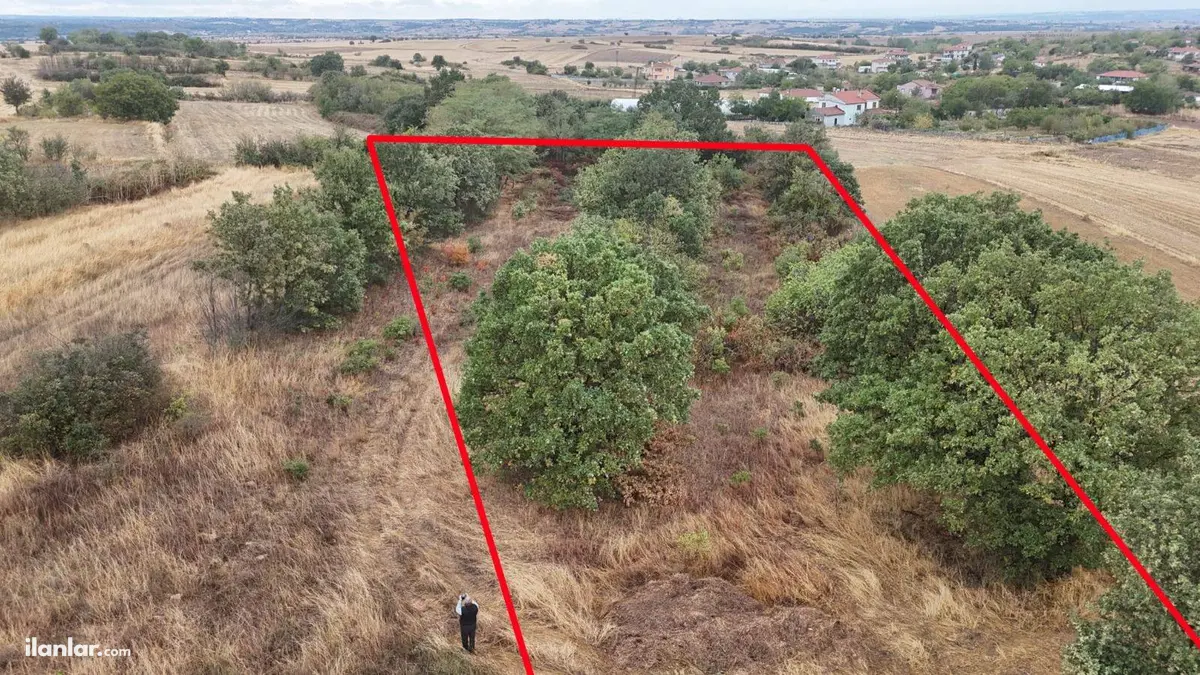 Edirne Uzunköprü Bayramlı Köyü Mahallesi 2.600 m² satılık bağ & Bahçe arsa - Fotoğraf 1