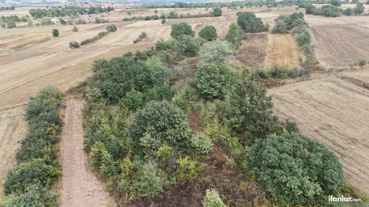 Edirne Uzunköprü Bayramlı Köyü Mahallesi 2.600 m² satılık bağ & Bahçe arsa - Fotoğraf 2