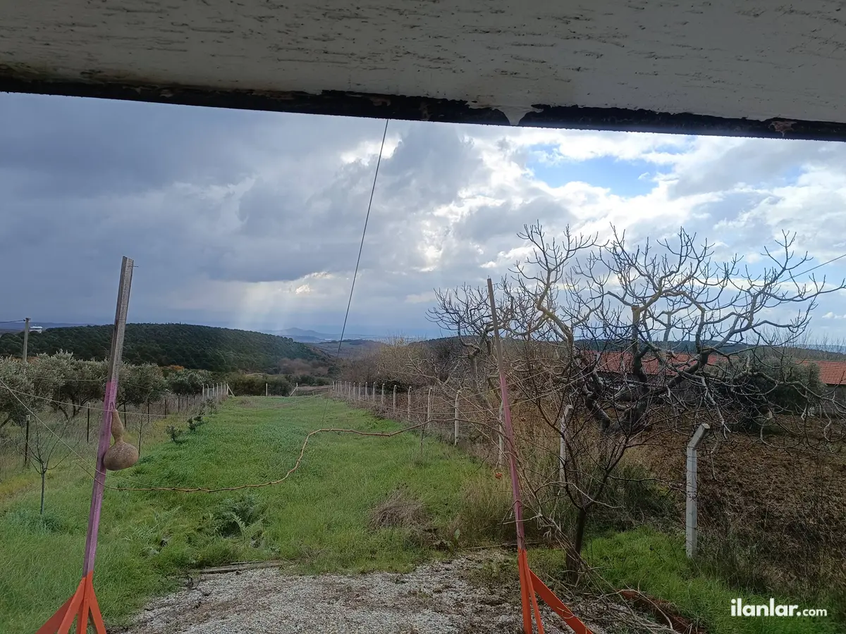 Bursa Mudanya Söğütpınar Mahallesi 964 m² kiralık bağ & Bahçe arsa - Fotoğraf 1
