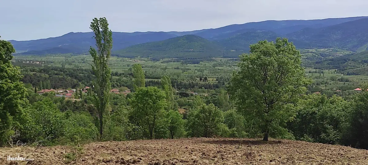 Çanakkale Bayramiç Tongurlu Köyü Mahallesi 3.548 m² satılık tarla arsa - Fotoğraf 1
