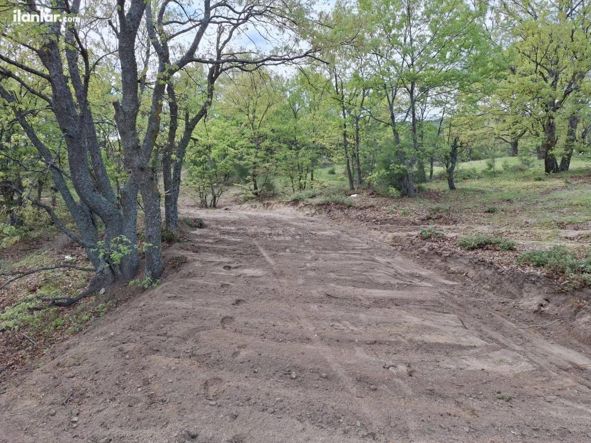 Çanakkale Bayramiç Tongurlu Köyü Mahallesi 3.548 m² satılık tarla arsa - Fotoğraf 2