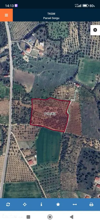 İzmir Torbalı Çapak Mahallesi 3.501 m² satılık zeytinlik arsa - Fotoğraf 3