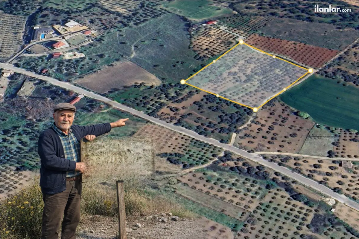 İzmir Torbalı Çapak Mahallesi 3.501 m² satılık zeytinlik arsa - Fotoğraf 1