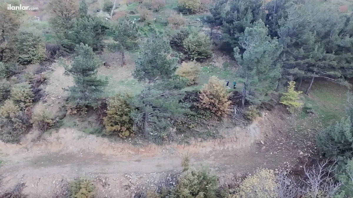 İzmir Kemalpaşa Bayramlı Mahallesi 3.231 m² satılık tarla arsa - Fotoğraf 1