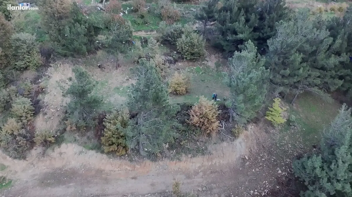 İzmir Kemalpaşa Bayramlı Mahallesi 3.231 m² satılık tarla arsa - Fotoğraf 2