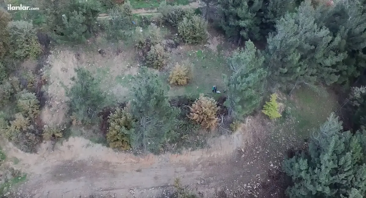 İzmir Kemalpaşa Bayramlı Mahallesi 3.231 m² satılık tarla arsa - Fotoğraf 3