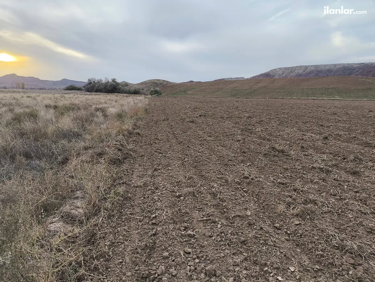 Çorum Sungurlu Yörüklü, Ergülübaba Mahallesi 6.546 m² satılık tarla arsa - Fotoğraf 1