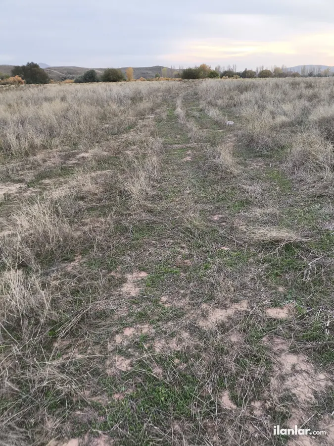 Çorum Sungurlu Yörüklü, Ergülübaba Mahallesi 6.546 m² satılık tarla arsa - Fotoğraf 2
