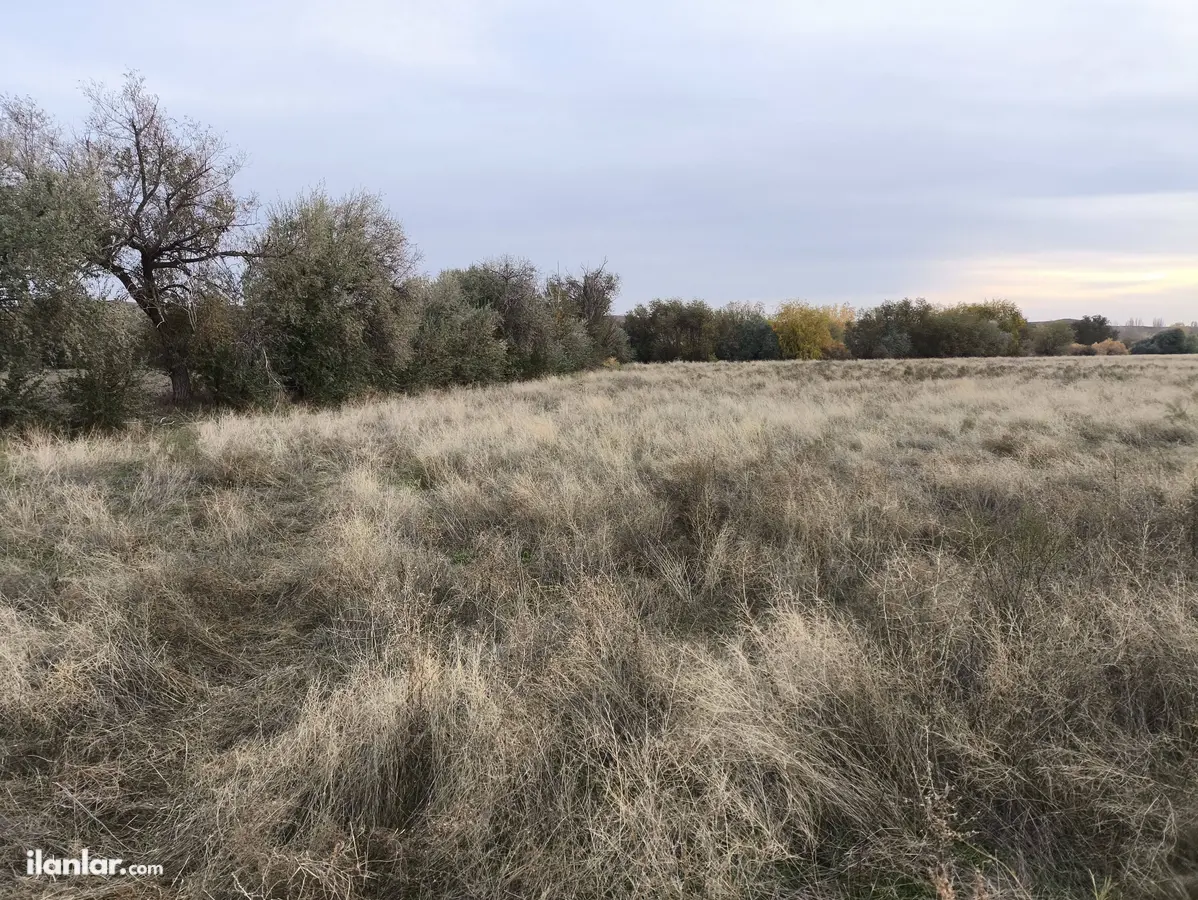 Çorum Sungurlu Yörüklü, Ergülübaba Mahallesi 6.546 m² satılık tarla arsa - Fotoğraf 3