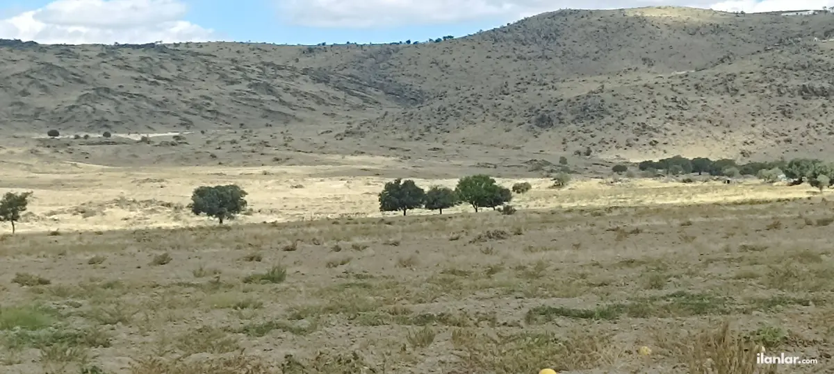 Aksaray Merkez Gözlükuyu Köyü Mahallesi 30.000 m² satılık tarla arsa - Fotoğraf 2