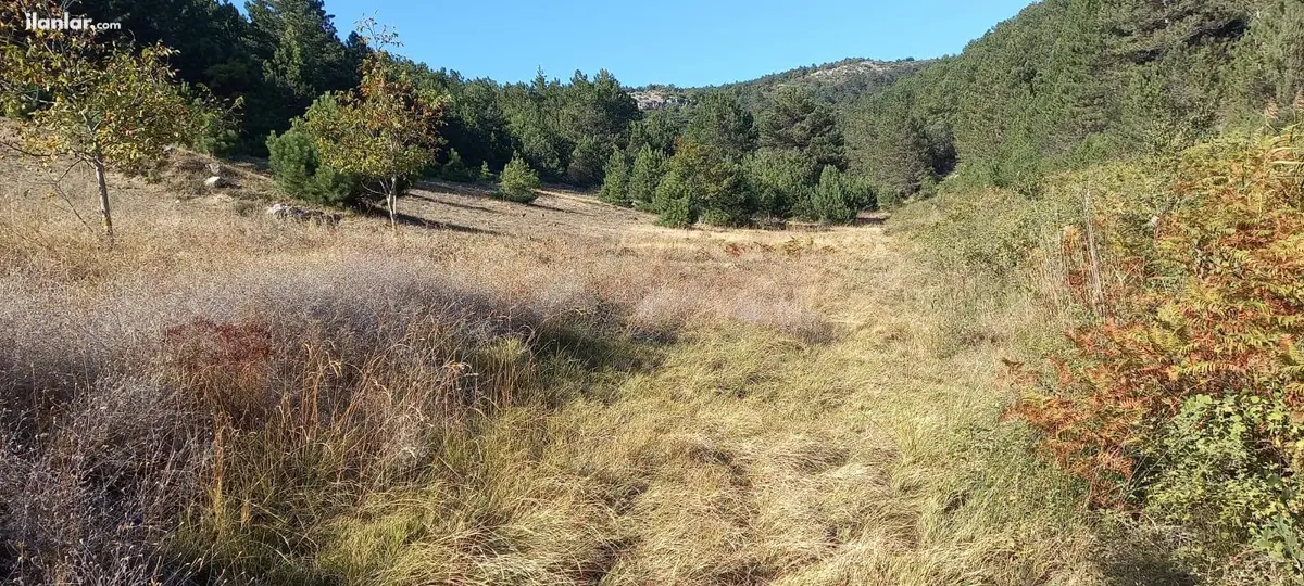 Sakarya Geyve Hisarlık Mahallesi 1.350 m² satılık tarla arsa - Fotoğraf 1