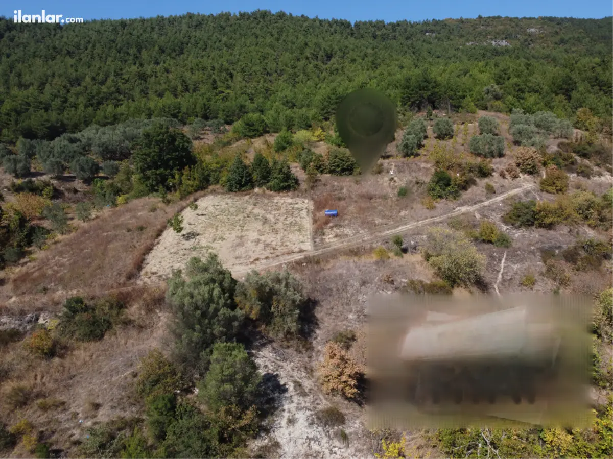 Sakarya Geyve Köprübaşı Mahallesi 312 m² satılık tarla arsa - Fotoğraf 1