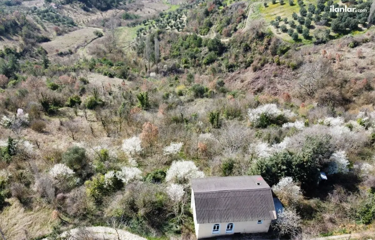 Sakarya Geyve Köprübaşı Mahallesi 153 m² satılık tarla arsa - Fotoğraf 1