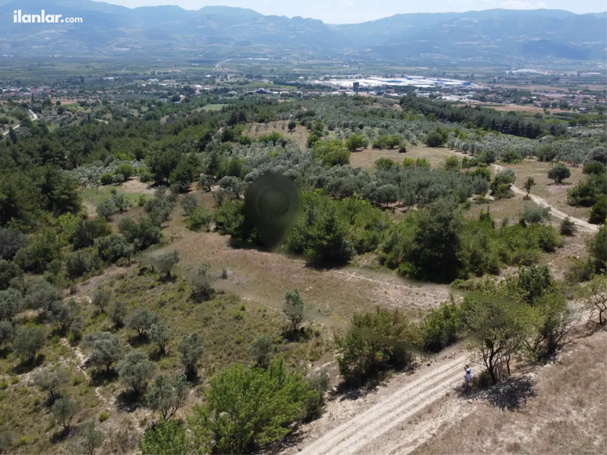 Sakarya Pamukova Teşvikiye Mahallesi 724 m² satılık tarla arsa - Fotoğraf 1