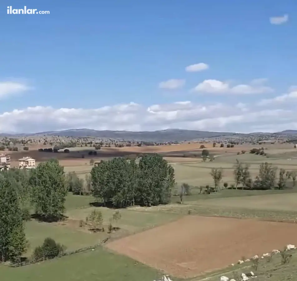 Kastamonu Seydiler İncesu, Merkez Mahallesi 4.070 m² satılık bağ & Bahçe arsa - Fotoğraf 2