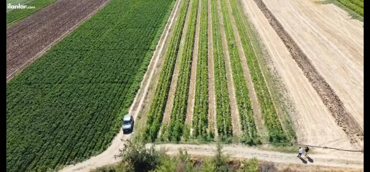 Bursa Yenişehir Çelebi Mahallesi 4.905 m² satılık tarla arsa - Fotoğraf 1