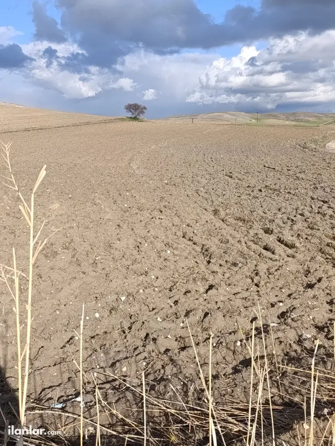 Ankara Kahramankazan Kınık Mahallesi 5.717 m² satılık arazi arsa - Fotoğraf 1