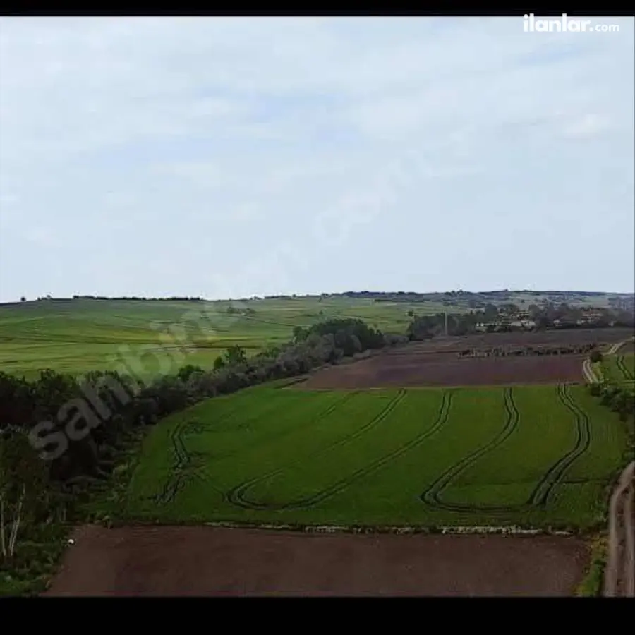 Kırklareli Babaeski Müsellim Köyü Mahallesi 1.844 m² satılık tarla arsa - Fotoğraf 2
