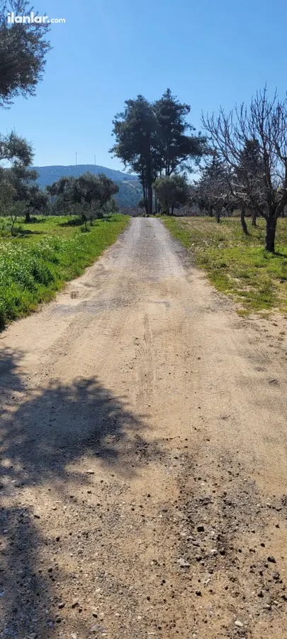 İzmir Buca Barış Mahallesi 4.674 m² satılık bağ & Bahçe arsa - Fotoğraf 1