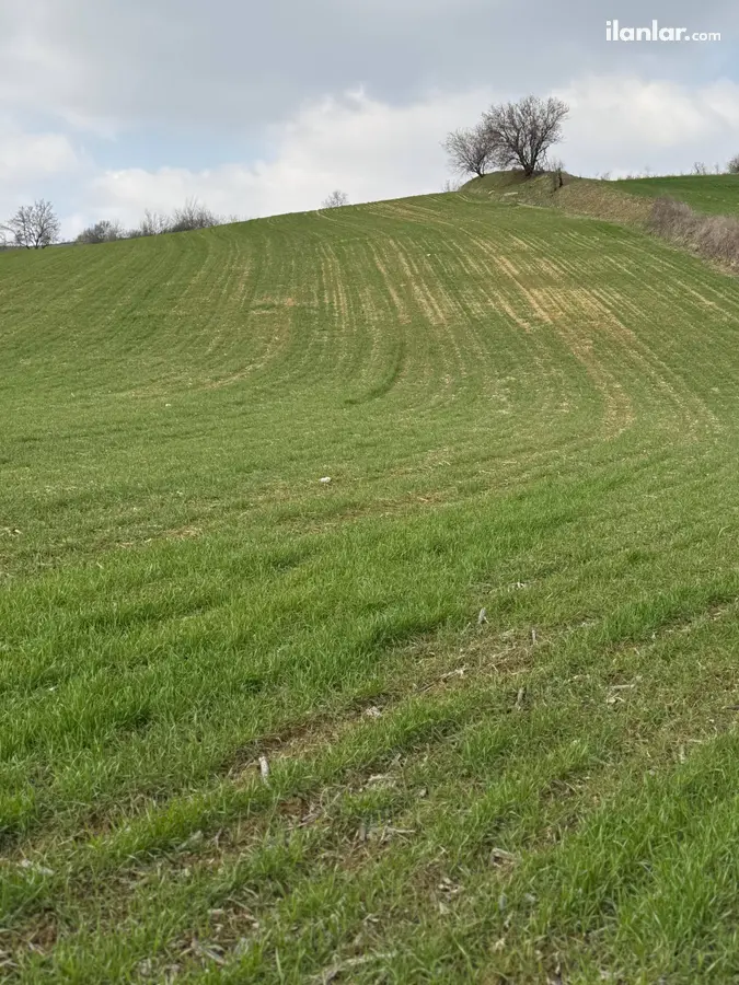 Tekirdağ Malkara Tekkeköy Mahallesi 13.873 m² satılık tarla arsa - Fotoğraf 1