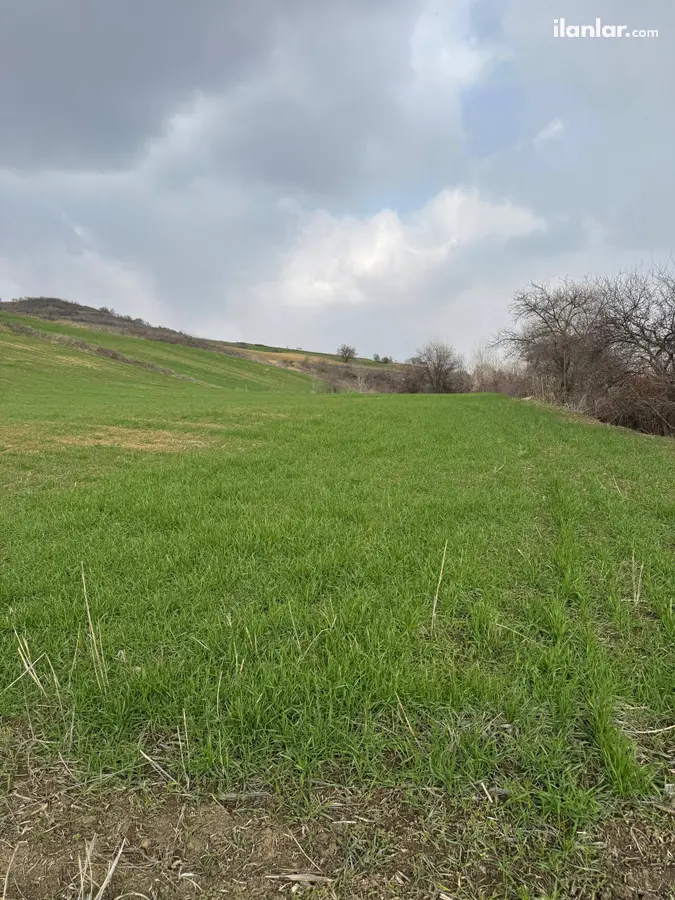 Tekirdağ Malkara Tekkeköy Mahallesi 13.873 m² satılık tarla arsa - Fotoğraf 2
