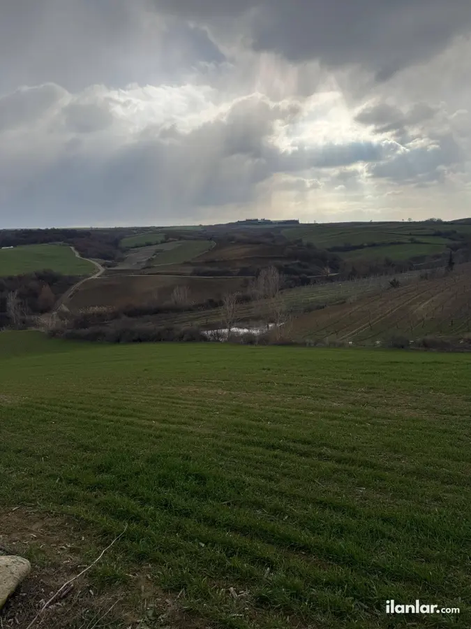 Tekirdağ Malkara Tekkeköy Mahallesi 13.873 m² satılık tarla arsa - Fotoğraf 3