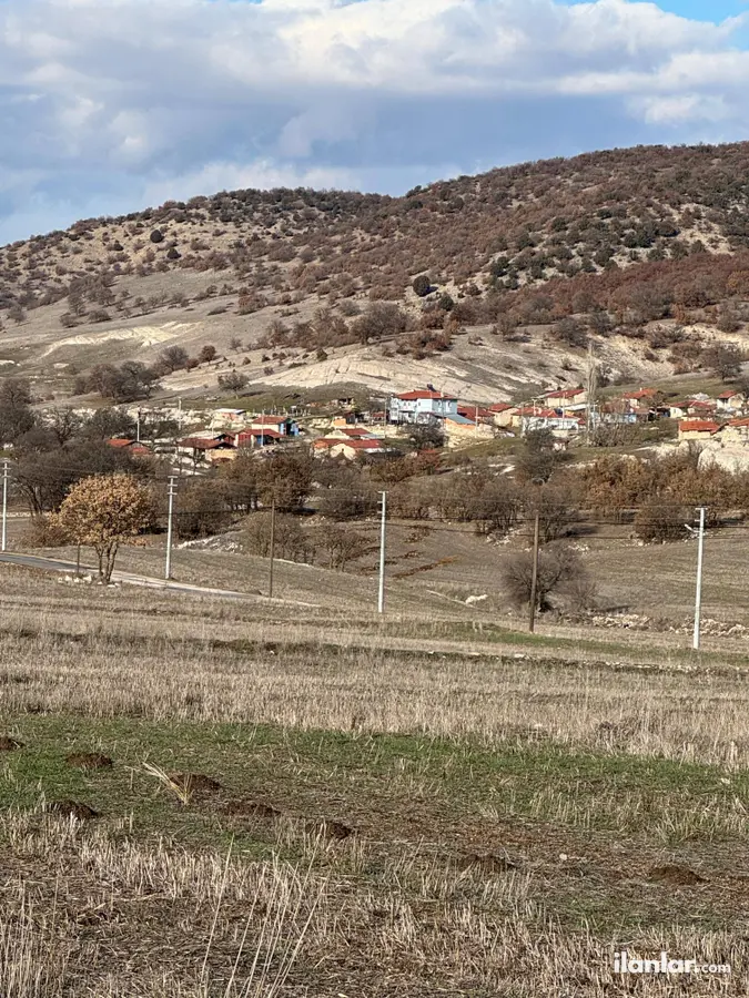 Eskişehir Seyitgazi Çatören Mahallesi 4.266 m² satılık tarla arsa - Fotoğraf 1