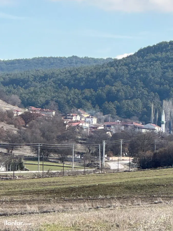 Eskişehir Seyitgazi Çatören Mahallesi 4.266 m² satılık tarla arsa - Fotoğraf 2