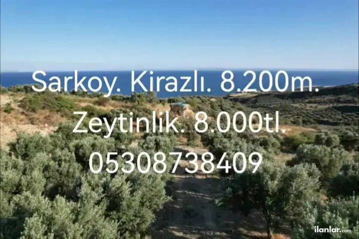 Tekirdağ Şarköy Kirazlı Mahallesi 8.200 m² satılık zeytinlik arsa - Fotoğraf 1
