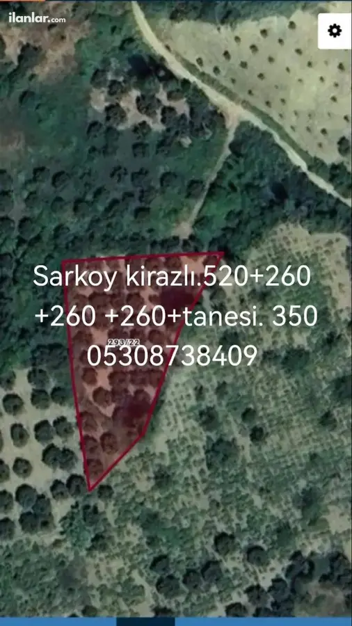 Tekirdağ Şarköy Kirazlı Mahallesi 260 m² satılık zeytinlik arsa - Fotoğraf 1
