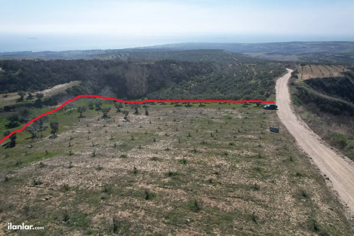 Tekirdağ Şarköy Tepeköy Mahallesi 4.412 m² satılık zeytinlik arsa - Fotoğraf 2