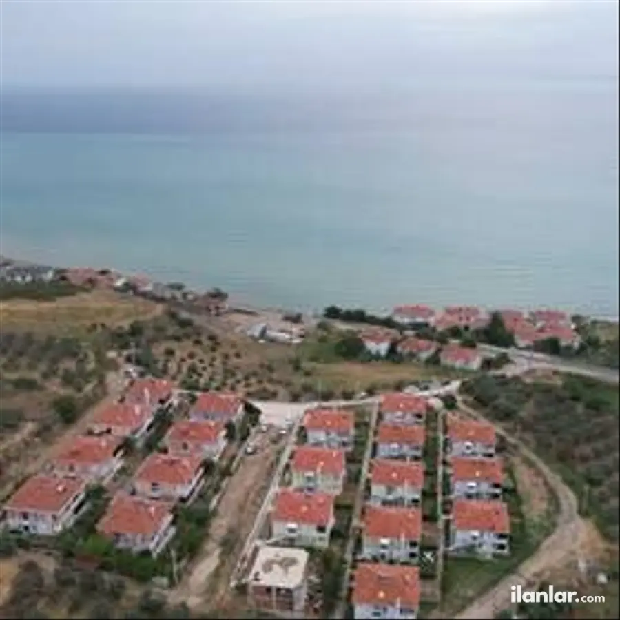Tekirdağ Şarköy Hoşköy Mahallesi 8.000 m² satılık zeytinlik arsa - Fotoğraf 2