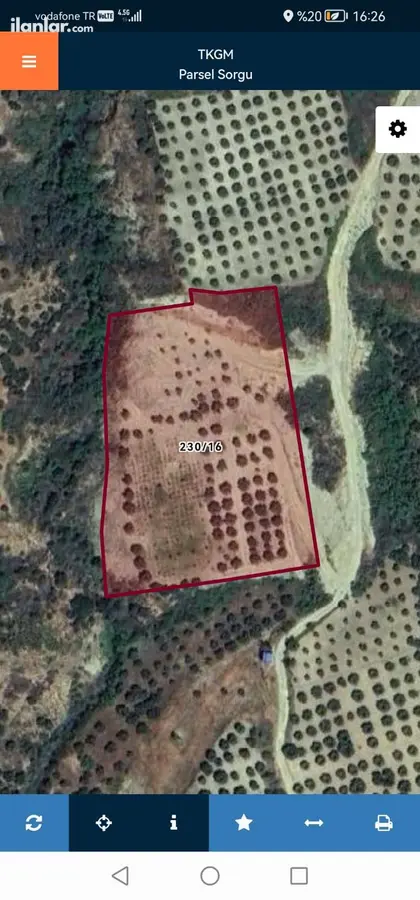 Tekirdağ Şarköy Kirazlı Mahallesi 8.200 m² satılık zeytinlik arsa - Fotoğraf 3