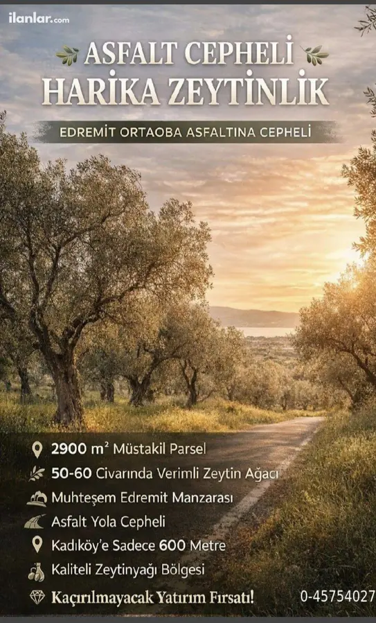 Balıkesir Edremit Ortaoba Mahallesi 2.870 m² satılık zeytinlik arsa - Fotoğraf 1