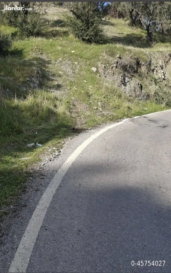 Balıkesir Edremit Ortaoba Mahallesi 2.870 m² satılık zeytinlik arsa - Fotoğraf 2