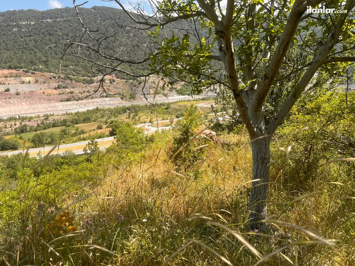 Tokat Niksar Mezra Köyü Mahallesi 5.379 m² satılık bağ & Bahçe arsa - Fotoğraf 1