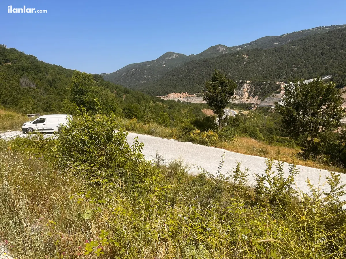 Tokat Niksar Mezra Köyü Mahallesi 5.379 m² satılık bağ & Bahçe arsa - Fotoğraf 3