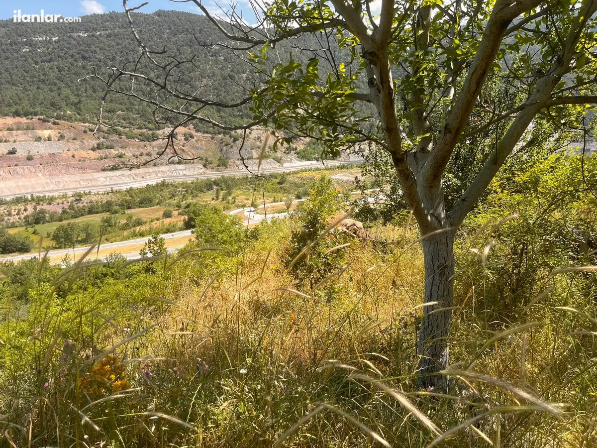 Tokat Niksar Mezra Köyü Mahallesi 6.920 m² satılık bağ & Bahçe arsa - Fotoğraf 2