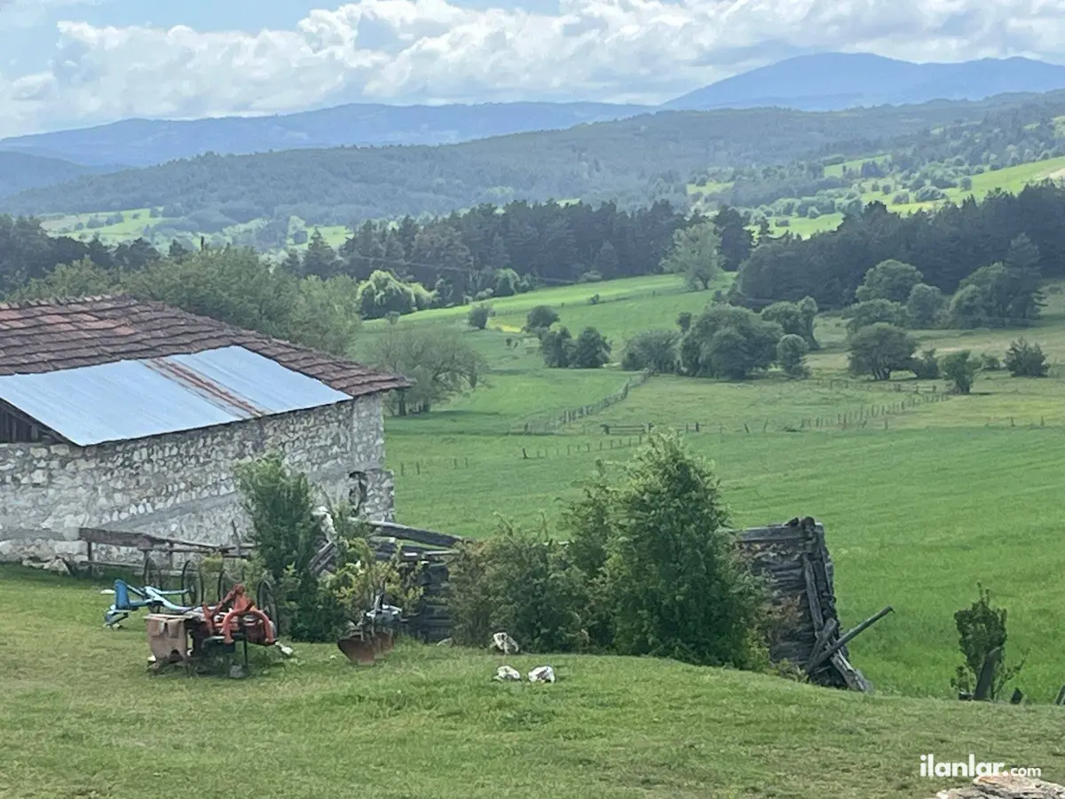 Kastamonu Ağlı Gölcüğez, Merkez Mahallesi 3.565 m² satılık bağ & Bahçe arsa - Fotoğraf 1