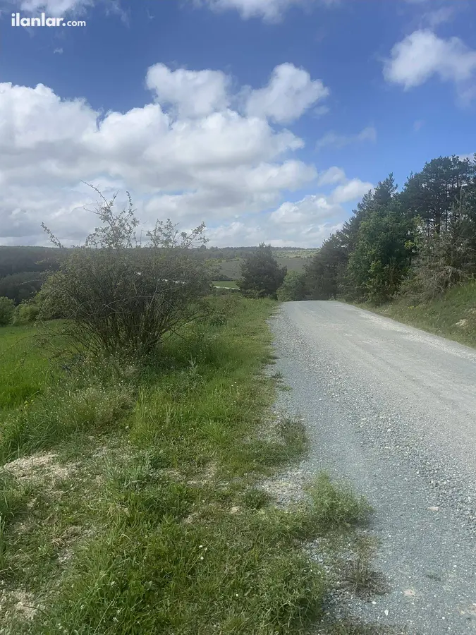 Kastamonu Ağlı Gölcüğez, Merkez Mahallesi 3.565 m² satılık bağ & Bahçe arsa - Fotoğraf 2