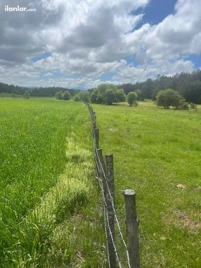 Kastamonu Ağlı Gölcüğez, Merkez Mahallesi 3.565 m² satılık bağ & Bahçe arsa - Fotoğraf 3